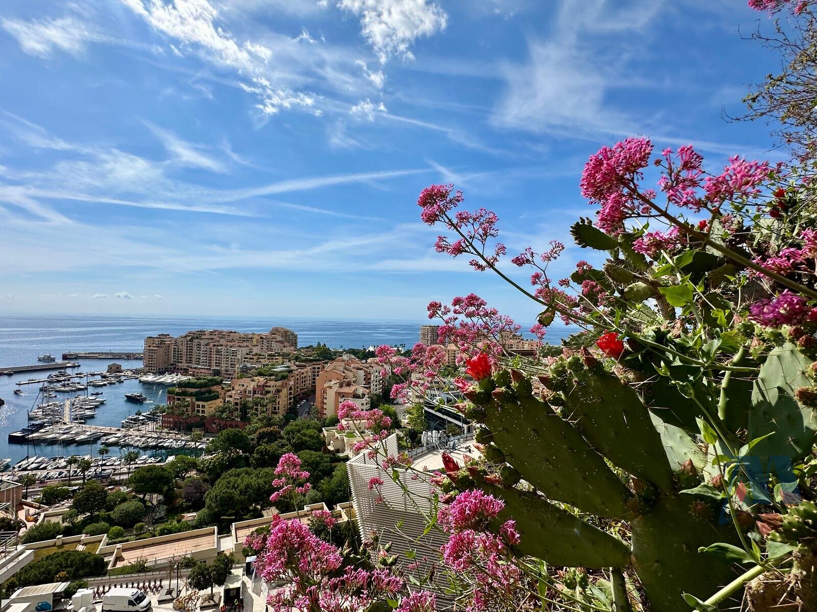 ENSEMBLE DE 8 LOTS SUR 9 LOTS - QUARTIER PLATI - 1 / 1