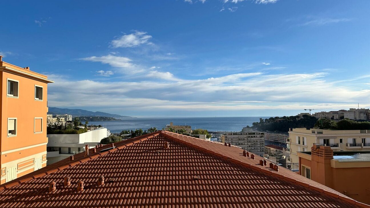 3 ROOM APARTMENT - CONDAMINE - 2 / 8